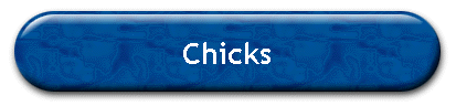 Chicks