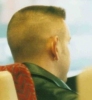 0017thumb.jpg
