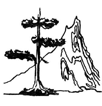 Esta figura muestra la perfecta conmbinaci�n simb�lica: La solidez y permenanencia representadas por la Suiseki y la impermanencia, los cambios y la fugacidad representada por el Bonsai.