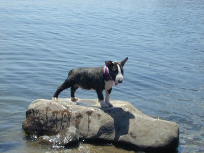 Larry at the lake