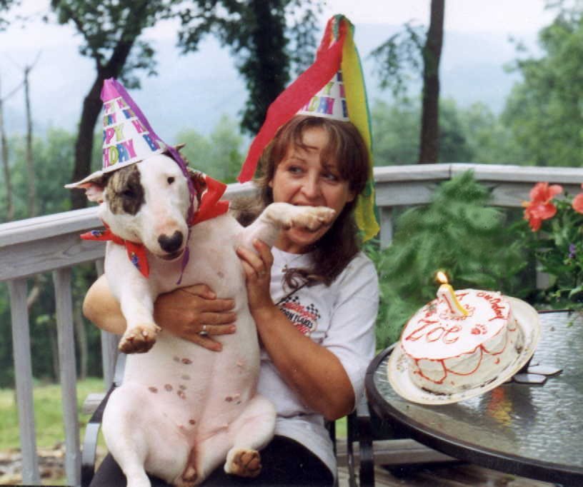 happy 1st b-day, pie