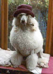 Elvis With Hat