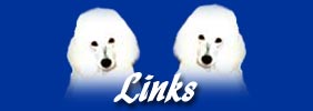 Links