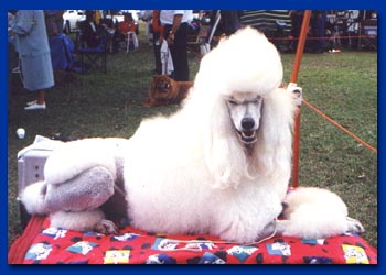 Ch Pierdon Blanc De Noir