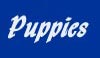 Puppies