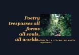 Poetry trespasses all forms all souls, all worlds. - Kathryn Winograd