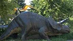 A pteradactyl and a triceratops