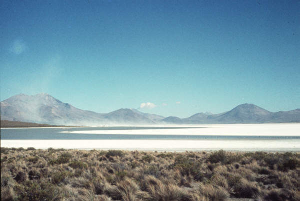 salar de Coposa