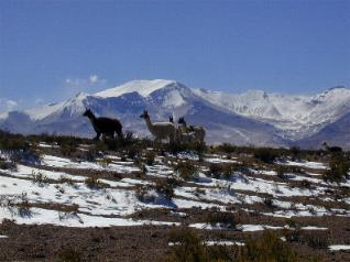 monta�as nevadas del cord�n del Sillajuay