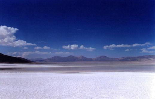 salar de Huasco