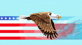 QSL.com