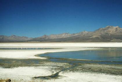 salar de Surire y fuente termal de Polloquere