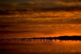 amanecer en Puno, a orillas del lago Titi Caca