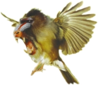 u3