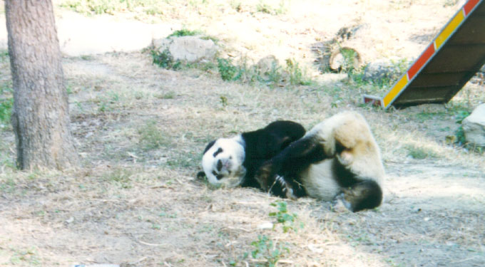 I'm exhausted!!
