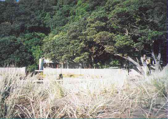 House and boatshed from the end of South Piha Beach. The last house on the beach. 31kb
