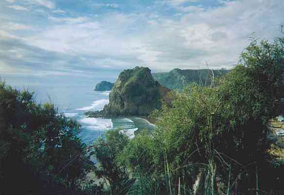 View of Lion Rock and Piha from top of the garden 19kb