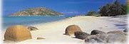 White Sands Beach