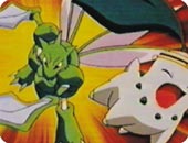The Bug Stops Here!