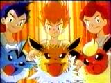 The Batttling Eevee Brothers