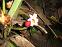 view full picture