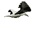 bird1.gif