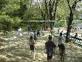 Volleyball