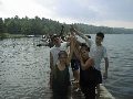 Advanced Swimmer Buddy Call