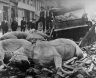 1906 Earthquake photo gallery
