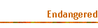 Endangered