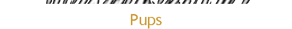 Pups