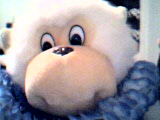 i love my monkey