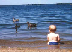 beach.jpg (40177 bytes)