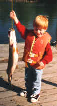 rednorthern.jpg (33705 bytes)