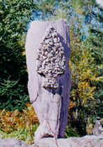 rockgardens2.jpg (35666 bytes)