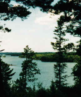 view.jpg (52308 bytes)