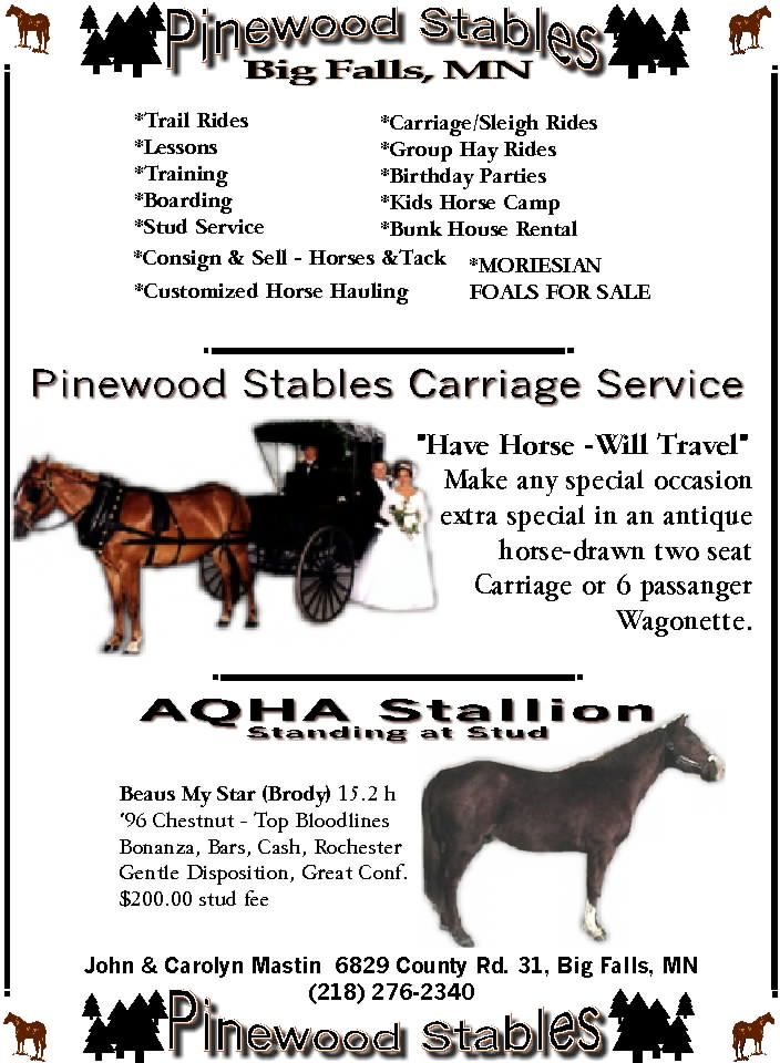 PINEWOOD STABLES BIG FALLS MINNESOTA HORSE RIDING, HORSE TRAINING