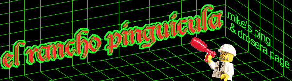 el rancho pinguicula: mike's ping and drosera page