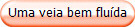 Uma veia bem flu�da