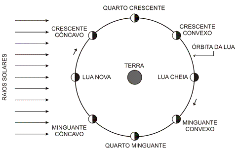 As fases da Lua!