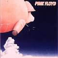 pig09cover.jpg