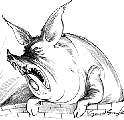 pig28sketch.jpg