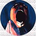 screamer.jpg