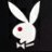 playboy