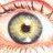 torieye