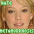Metamorphosis