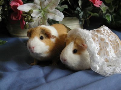 Clyde and Bonnie