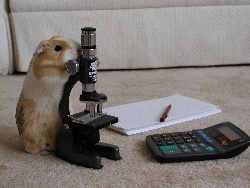 Bonnie the scientist