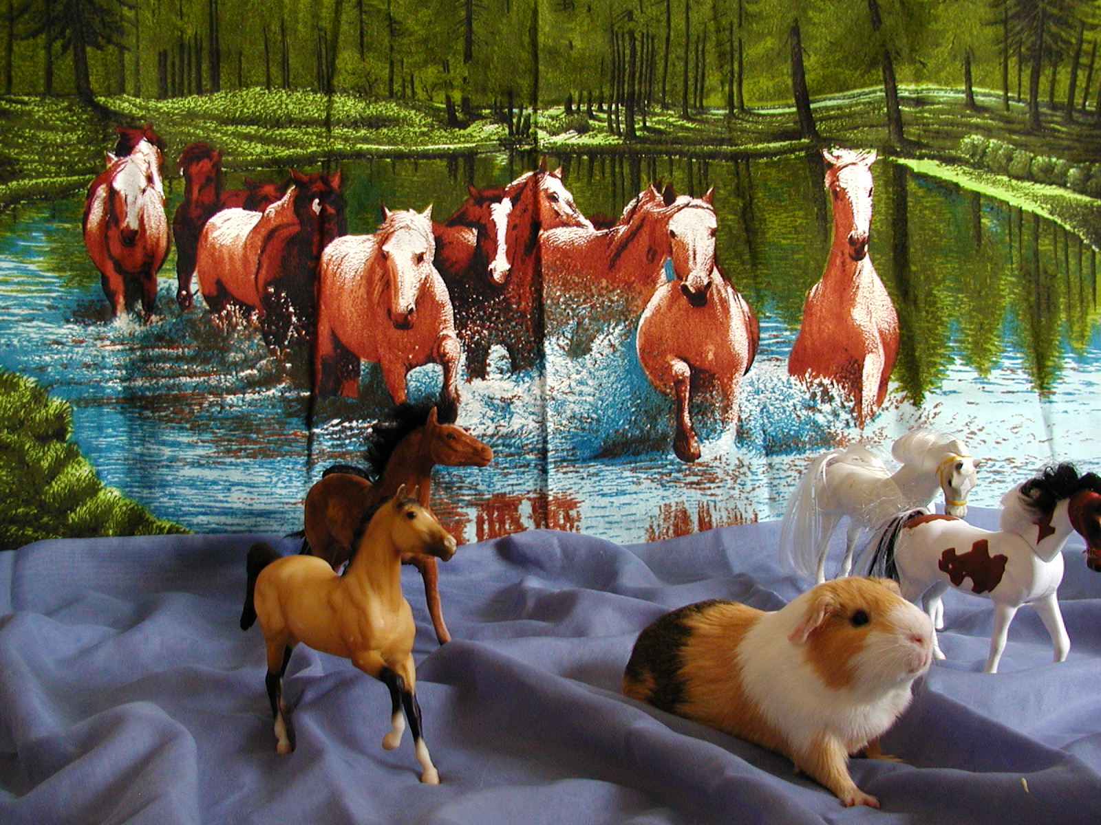 Clyde and the mustangs