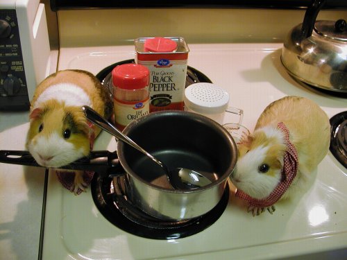 Clyde and Bonnie in the kitchen
